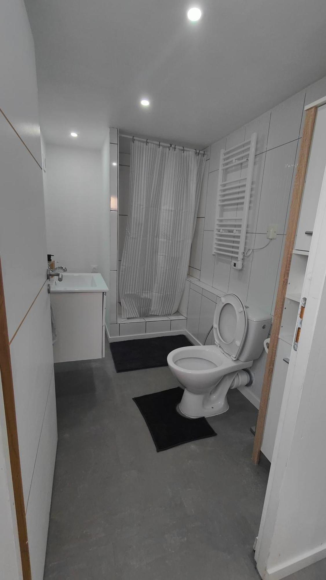Bel Appartement F2 Entierement Renove Selestat Exterior photo
